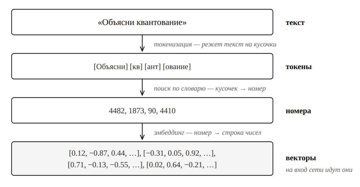 Шаг 1: текст «Объясни квантование» → токенизация → токены → поиск по словарю → номера → эмбеддинг → векторы, которые идут на вход сети